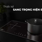 Bếp điện từ đôi cao cấp CIVIN Model CV-879