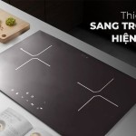 Bếp điện từ đôi Canaval CA-9919