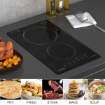 Bếp điện từ đôi DOMINO CIVIN Model CV-636