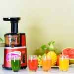 Máy ép chậm Mutosi MJ-83