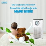 Máy lọc không khí Coway STORM (AP-1516D)