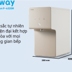 Máy lọc nước Coway Cinnamon P-6320R