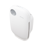 Máy lọc không khí Coway AP-1009CH